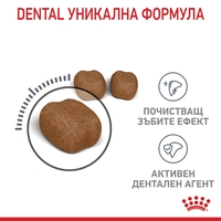 ROYAL CANIN® FCN DENTAL CARE CAT за котки в зряла възраст