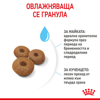 ROYAL CANIN® SHN MAXI STARTER MOTHER & BABYDOG за женски кучета от едри породи (от 26 до 44 кг) и нейните подрастващи : женско куче в края на бременността и по време на кърмене - кученца в период на отбиване на възраст до 2 месеца