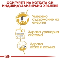 ROYAL CANIN® FBN BRITISH SHORTHAIR за британски късокосмести котки в зряла възраст - над 12 месеца (хапки в сос)хапки в сос