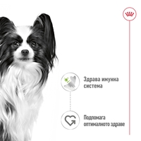 ROYAL CANIN® SHN X-SMALL ADULT - за кучета в зряла възраст от много дребни породи (тегло в зряла възраст до 4кг) – от 10 месеца до 8 години