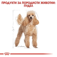 ROYAL CANIN® BHN POODLE - за кучета порода пудел над 10 месечна възраст 1.5 кг.