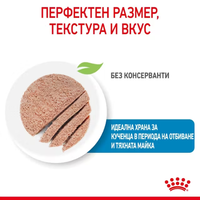 ROYAL CANIN® SHN STARTER MOTHER & BABYDOG мек мус за бременни и кърмещи кучета и техните малки кученца (от отбиването до 2-месечна възраст)