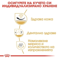 ROYAL CANIN® BHN SHIH TZU ADULT - за кучета порода ши тцу на възраст над 10 месеца 1.5 кг.