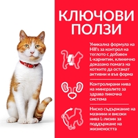 Hill’s Science Plan Feline Young Adult Sterilised Chicken - пауч с пилешко  - малки късчета в сос Грейви за млади кастрирани котки от 6 месeца  до 6 години