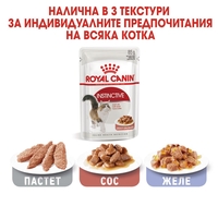 ROYAL CANIN® FHN INSTINCTIVE за котки в зряла възраст на 12 месеца (малки хапки в сос)