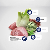 N&D Quinoa Cat Adult Digestion with Lamb – суха храна за добро храносмилане и без зърнени култури за котки, с агнешко, киноа, копър, мента и артишок