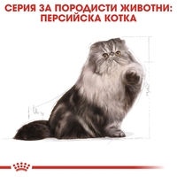 ROYAL CANIN® FBN PERSIAN ADULT за персийски котки в зряла възраст - над 12 месеца