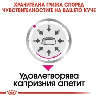 ROYAL CANIN® CCN EXIGENT за кучета в зряла възраст над 10 месеца – кучета с капризен апетит