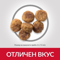 Hill's Science Plan Small&Mini Adult с агнешко и ориз - Пълноценна суха храна за дребни и миниатюрни породи кучета в зряла възраст 1-6 години