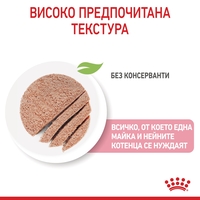 ROYAL CANIN® FHN MOTHER & BABYCAT мек мус 195г за бременни и кърмещи котки и техните подрастващи котенца (от 1 до 4 месеца) през периода на отбиване