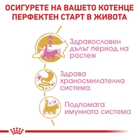 ROYAL CANIN® FBN MAINE COON KITTEN за подрастващи котенца от порода мейн куун (до 15 месеца)