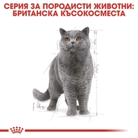 ROYAL CANIN® FBN BRITISH SHORTHAIR за британски късокосмести котки в зряла възраст - над 12 месеца (хапки в сос)хапки в сос