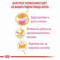 ROYAL CANIN® FBN PERSIAN KITTEN за подрастващи персийски котки (до 12 месеца)