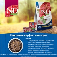 N&D Quinoa Digestion Lamb Adult Medium & Maxi dogs – суха храна за добро храносмилане и без зърнени култури за кучета в зряла възраст от средни и едри породи, с агнешко, киноа, копър, мента и артишок