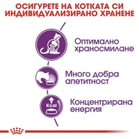 ROYAL CANIN® FHN SENSIBLE за котки в зряла възраст над 1 година - при чувствителна храносмилателна система