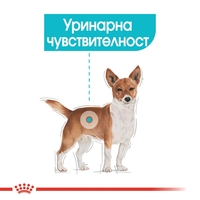 ROYAL CANIN® CCN MINI URINARY CARE за кучета в зряла възраст и напреднала възраст от дребни породи (от 1 до 10 кг) - над 10 месеца - с предразположеност към уринарна чувствителност