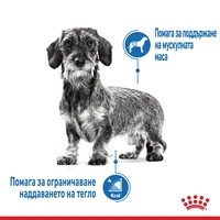 ROYAL CANIN® CCN MINI LIGHT WEIGHT CARE за кучета в зряла и напреднала възраст от дребни породи (от 1 до 10кг) - над 10 месеца - кучета със склонност към натрупване на наднормено тегло