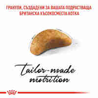 ROYAL CANIN® FBN BRITISH SHORTHAIR KITTEN за подрастващи британски късокосмести котки (до 12 месеца)