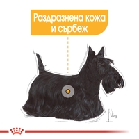 ROYAL CANIN® CCN MINI DERMACOMFORT за кучета в зряла и напреднала възраст от дребни породи (от 1 до 10кг) - над 10 месеца - кучета предразположени към кожни раздразнения и сърбеж
