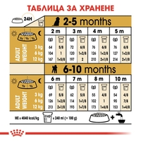 ROYAL CANIN® BHN POODLE PUPPY за подрастващи кучета порода пудел - до 10 месеца