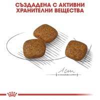 ROYAL CANIN® CCN MINI URINARY CARE за кучета в зряла възраст и напреднала възраст от дребни породи (от 1 до 10 кг) - над 10 месеца - с предразположеност към уринарна чувствителност