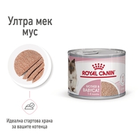 ROYAL CANIN® FHN MOTHER & BABYCAT мек мус 195г за бременни и кърмещи котки и техните подрастващи котенца (от 1 до 4 месеца) през периода на отбиване