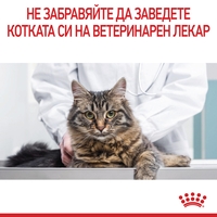 ROYAL CANIN® FCN CARE HAIRBALL за котки в зряла възраст (малки хапки в желе)