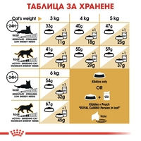 ROYAL CANIN® FBN PERSIAN ADULT за персийски котки в зряла възраст - над 12 месеца