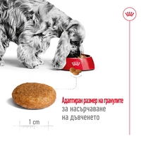 ROYAL CANIN® SHN MEDIUM ADULT - - за кучета в зряла възраст от средни породи (от 11 до 25 кг) - над 12 месеца