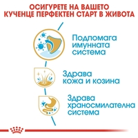 ROYAL CANIN® BHN SHIH TZU PUPPY - за подрастващи кучета порода ши цу над 10 месеца