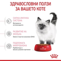ROYAL CANIN® FHN KITTEN за подрастващи котенца до 12 месеца