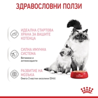 ROYAL CANIN® FHN MOTHER & BABYCAT мек мус 195г за бременни и кърмещи котки и техните подрастващи котенца (от 1 до 4 месеца) през периода на отбиване