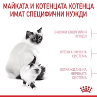 ROYAL CANIN® FHN MOTHER & BABYCAT за женски котки и техните подрастващи котенца – за котки през периода на бременността и кърмене – 1-ви етап на растеж на котенцата (от 1 до 4 месеца) до периода на отбиване
