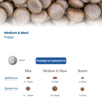 N&D Pumpkin Lamb & Blueberry Puppy Medium&Maxi – суха храна без зърнени култури за подрастващи кученца от средни и едри породи с агнешко, тиква и боровинки