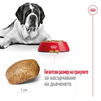 ROYAL CANIN® SHN GIANT ADULT – за кучета в зряла възраст от гигантски породи (над 45 кг) - над 18/24 месеца
