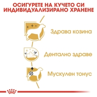 ROYAL CANIN® BHN POODLE - за кучета порода пудел над 10 месечна възраст 1.5 кг.