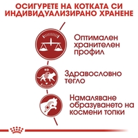 ROYAL CANIN® FHN FIT за котки в зряла възраст над 1 година - с умерена физическа активност, с достъп до открити пространства