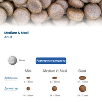 N&D Quinoa Weight Management with Lamb Adult MINI – суха храна за поддържане на идеално телесно тегло, без зърнени култури за кучета над 1 година от дребни породи, с агнешко, киноа, броколи и аспержи