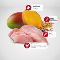 N&D Tropical Selection Dog Adult MINI Chicken and Tropical fruits – суха храна за кучета над 1 година от дребни породи, с пилешко, спелта, овес и тропически плодове