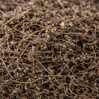 Мащерка сушена