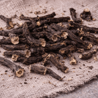 Comfrey Root – Dried (Symphytum officinale)