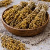 Жълт кантарион – стрък