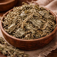 Лопен лист (Verbascum thapsus)