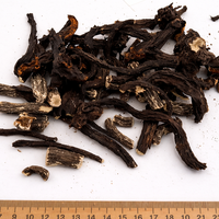 Comfrey Root – Dried (Symphytum officinale)