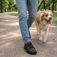 Боси обувки - Токио