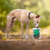 ESSENTIAL DUCK MINI DELIGHTS - деликатесни малки лакомства за кучета с патешко месо, 100г