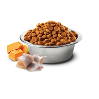 N&D Pumpkin Herring & Orange Cat Adult – храна за котки с херинга, тиква и портокал, 300 g / 1.5 kg / 5 kg