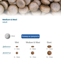 N&D Pumpkin Adult Maxi с пилешко, тиква и нар