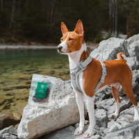 ESSENTIAL DUCK MINI DELIGHTS - деликатесни малки лакомства за кучета с патешко месо, 100г