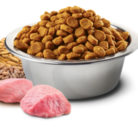 N&D Tropical Selection Pork Adult Medium & Maxi – храна за кучета, със свинско и тропически плодове, за средни и големи породи, 2 kg / 10 kg